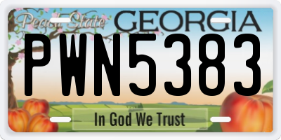 GA license plate PWN5383