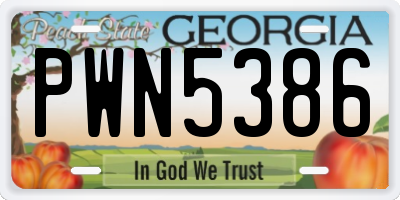 GA license plate PWN5386