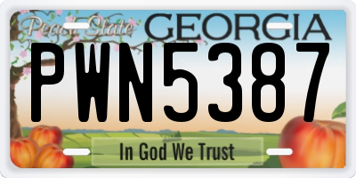 GA license plate PWN5387