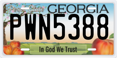 GA license plate PWN5388