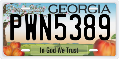 GA license plate PWN5389