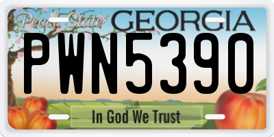 GA license plate PWN5390