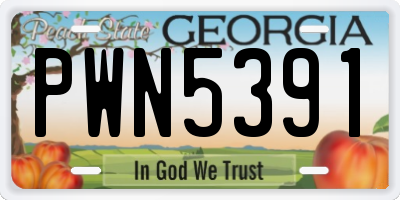 GA license plate PWN5391