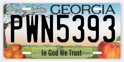 GA license plate PWN5393