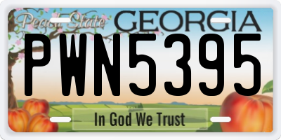 GA license plate PWN5395