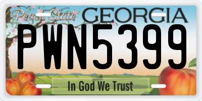 GA license plate PWN5399