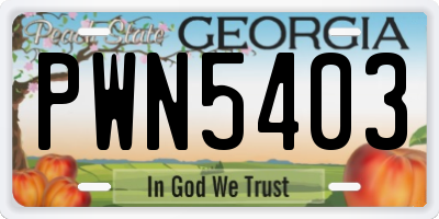 GA license plate PWN5403
