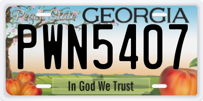 GA license plate PWN5407