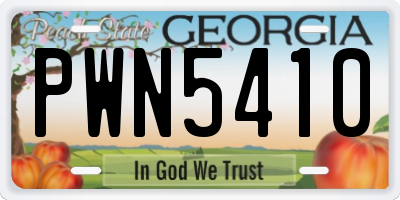 GA license plate PWN5410