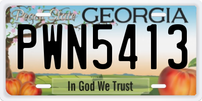 GA license plate PWN5413