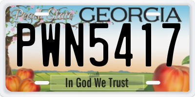 GA license plate PWN5417