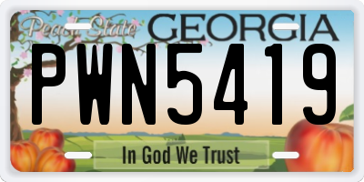 GA license plate PWN5419