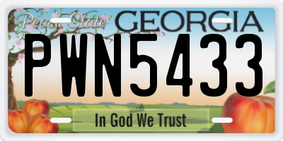 GA license plate PWN5433