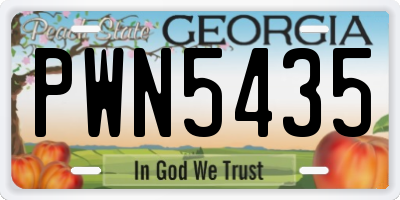 GA license plate PWN5435