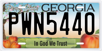 GA license plate PWN5440