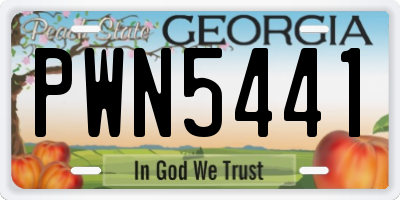 GA license plate PWN5441