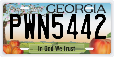 GA license plate PWN5442