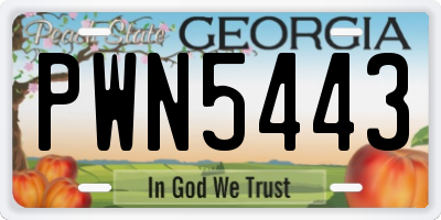 GA license plate PWN5443