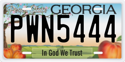 GA license plate PWN5444