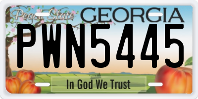 GA license plate PWN5445