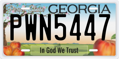 GA license plate PWN5447