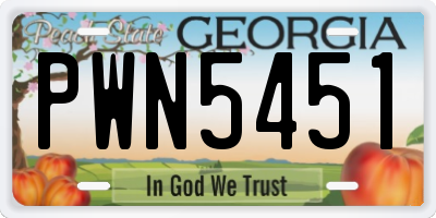 GA license plate PWN5451