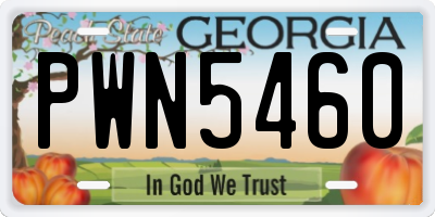 GA license plate PWN5460