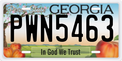 GA license plate PWN5463