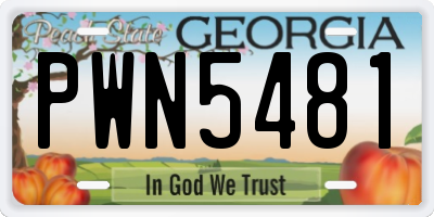 GA license plate PWN5481