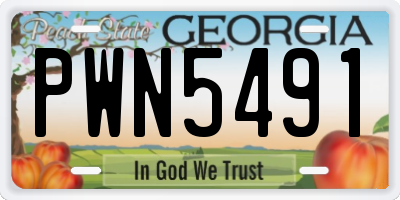 GA license plate PWN5491