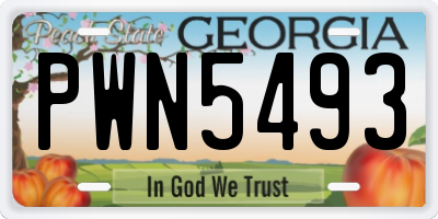 GA license plate PWN5493