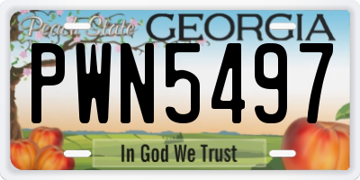 GA license plate PWN5497