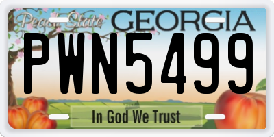 GA license plate PWN5499