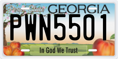 GA license plate PWN5501