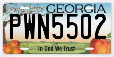 GA license plate PWN5502