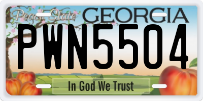 GA license plate PWN5504