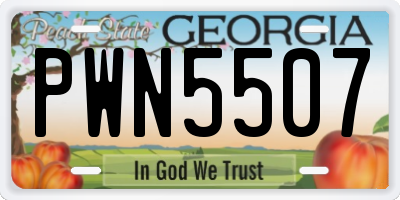 GA license plate PWN5507
