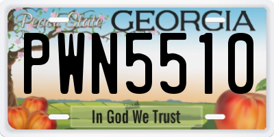 GA license plate PWN5510