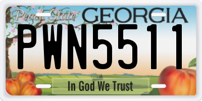GA license plate PWN5511