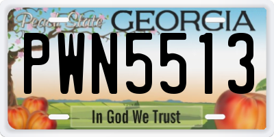GA license plate PWN5513