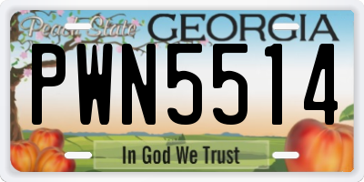 GA license plate PWN5514