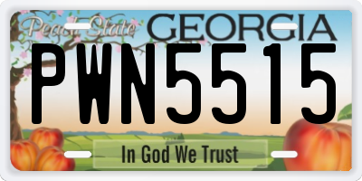 GA license plate PWN5515