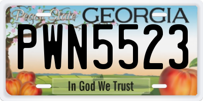 GA license plate PWN5523