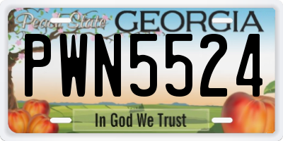 GA license plate PWN5524