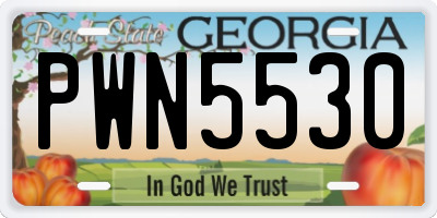 GA license plate PWN5530