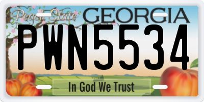 GA license plate PWN5534