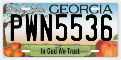 GA license plate PWN5536