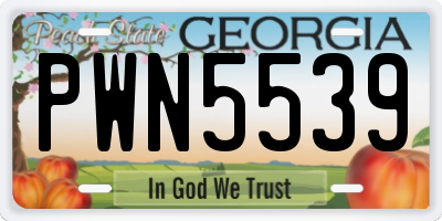 GA license plate PWN5539