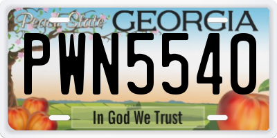 GA license plate PWN5540
