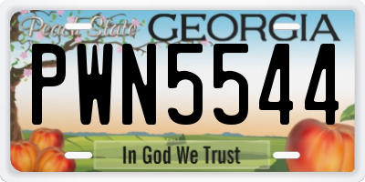 GA license plate PWN5544